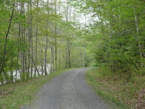 Viewing Image 10