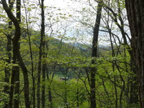 Viewing Image 17
