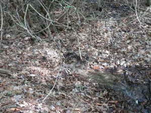 Viewing Image 20