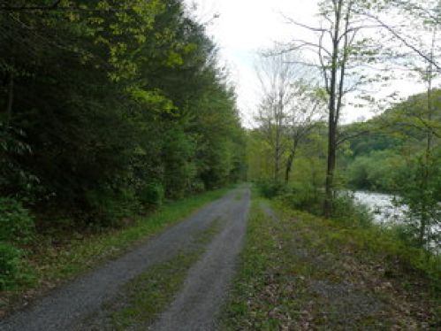 Viewing Image 22