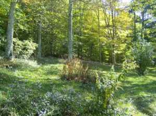 Viewing Image 3