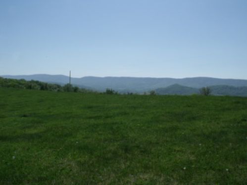 Viewing Image 10