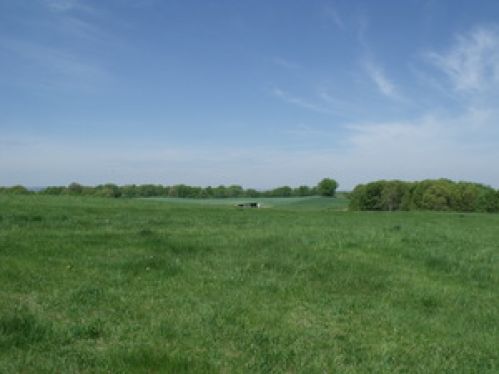 Viewing Image 11