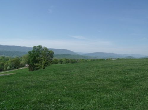 Real Estate for Sale, ListingId:17365094, location: 12 John Deere Rd Peterstown 24963