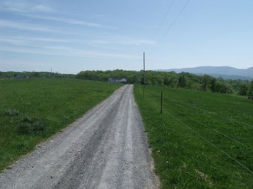 Viewing Image 7