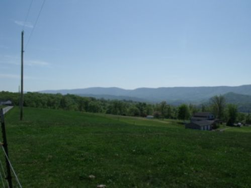Viewing Image 10