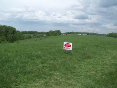 Viewing Image 16