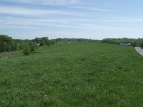 Viewing Image 2