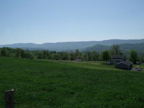 Viewing Image 4