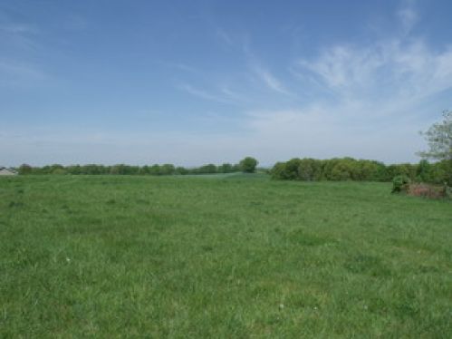 Viewing Image 6