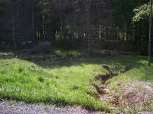 Viewing Image 13