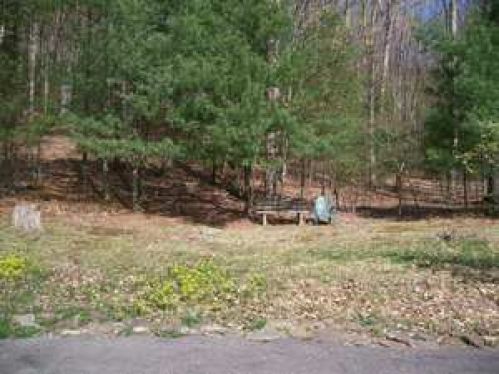 Viewing Image 14