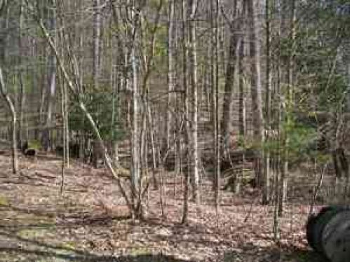 Viewing Image 15