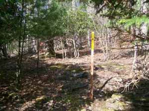 Viewing Image 18