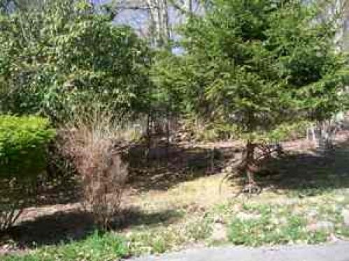 Viewing Image 19