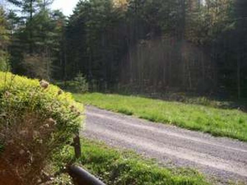Viewing Image 21
