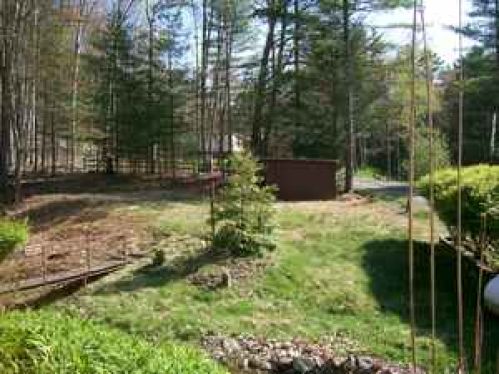 Viewing Image 22