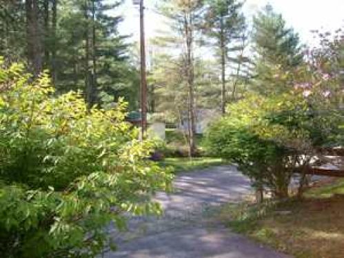 Viewing Image 23