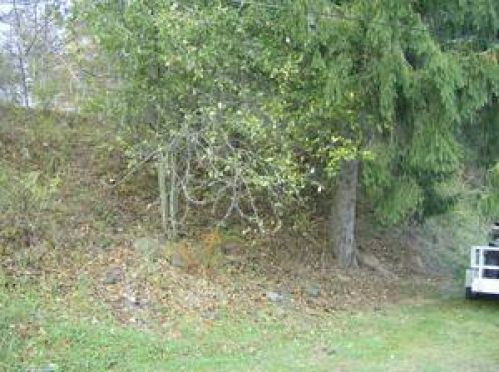 Viewing Image 2