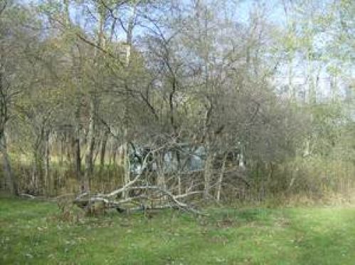 Viewing Image 4