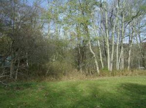 Viewing Image 5