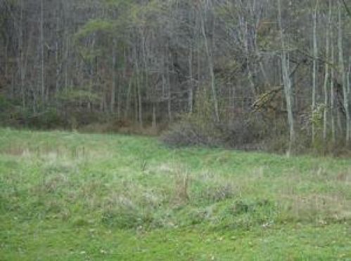 Viewing Image 6