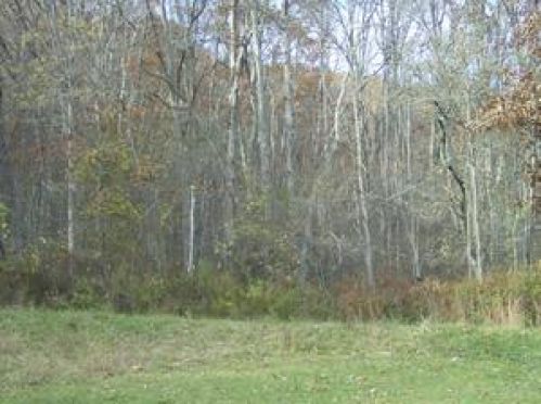 Viewing Image 7