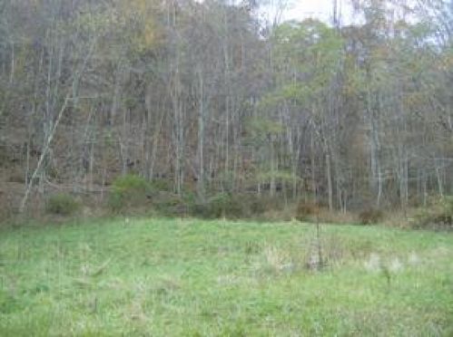Viewing Image 8