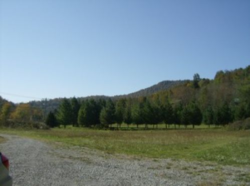 Viewing Image 4