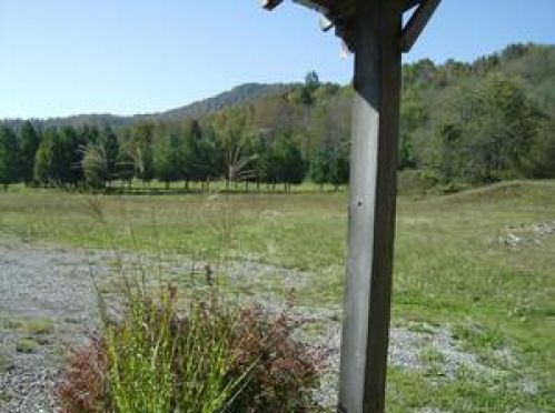 Viewing Image 8