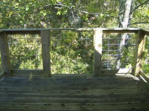Viewing Image 40