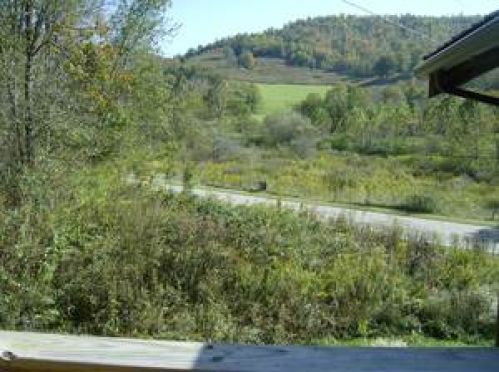 Viewing Image 47
