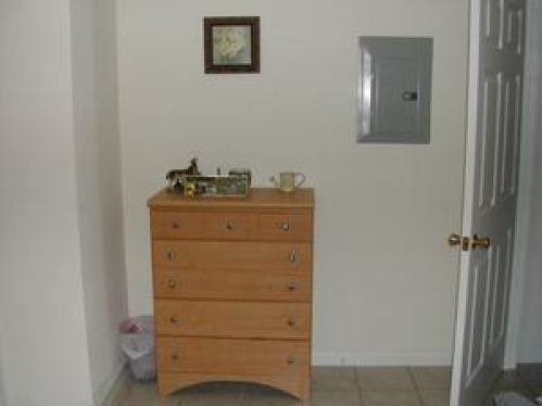 Viewing Image 11