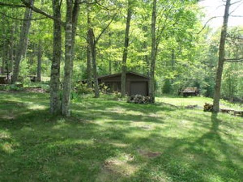 Viewing Image 5