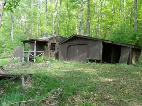Viewing Image 8