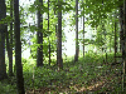 Viewing Image 22