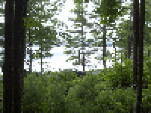 Viewing Image 23