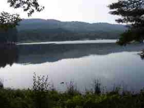 Viewing Image 26