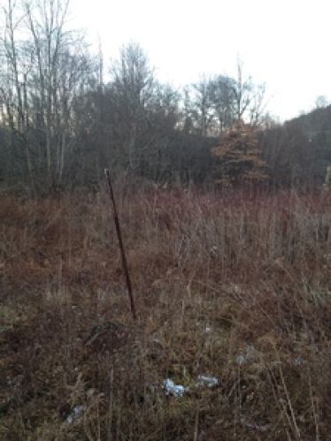 Viewing Image 6