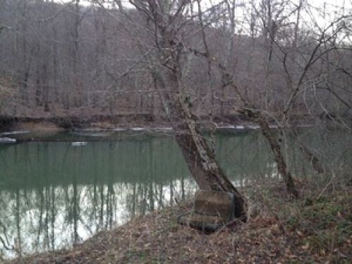 Viewing Image 13