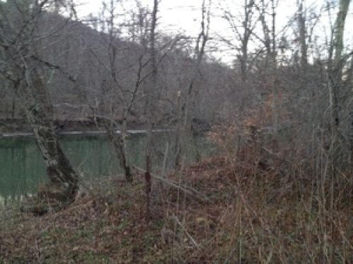 Viewing Image 15