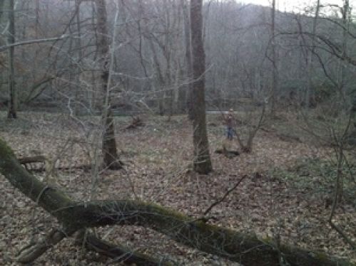 Viewing Image 19