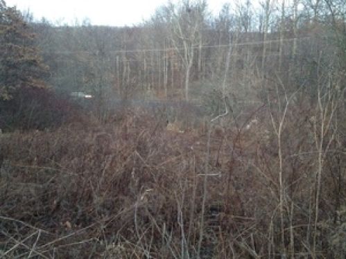 Viewing Image 21