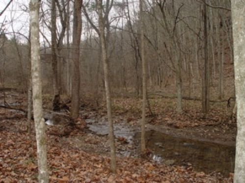 Land for Sale, ListingId:17810035, location: 245 Route 12 Ballard 24918