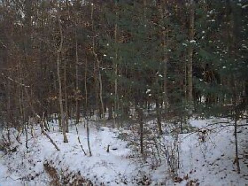 Real Estate for Sale, ListingId:17907590, location: 256 Waybright Road 24 and 28 Green Bank 24944