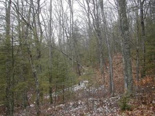Viewing Image 2