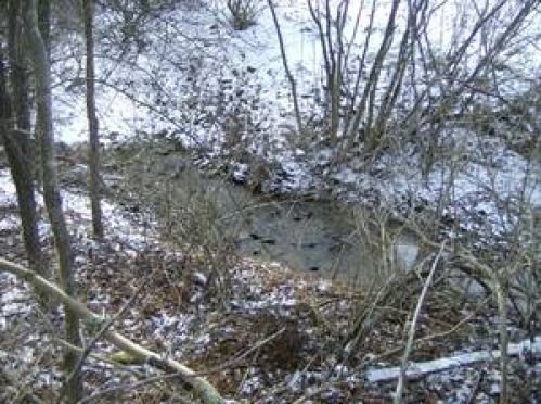 Viewing Image 7