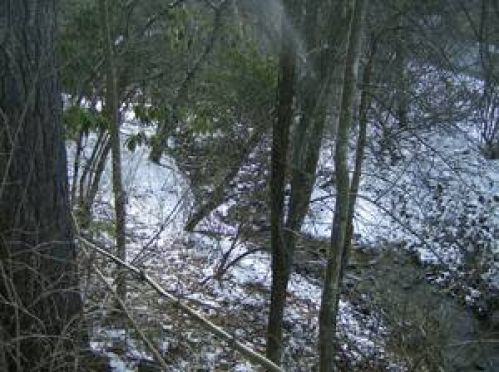 Viewing Image 8