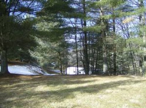 Viewing Image 7