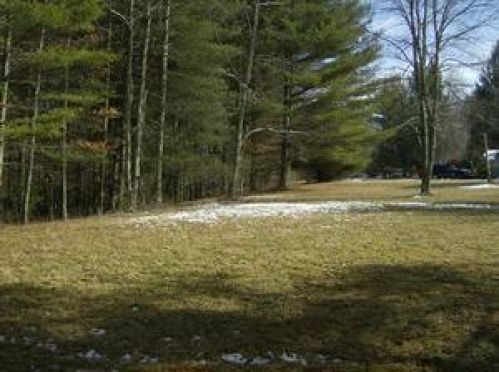 Viewing Image 8